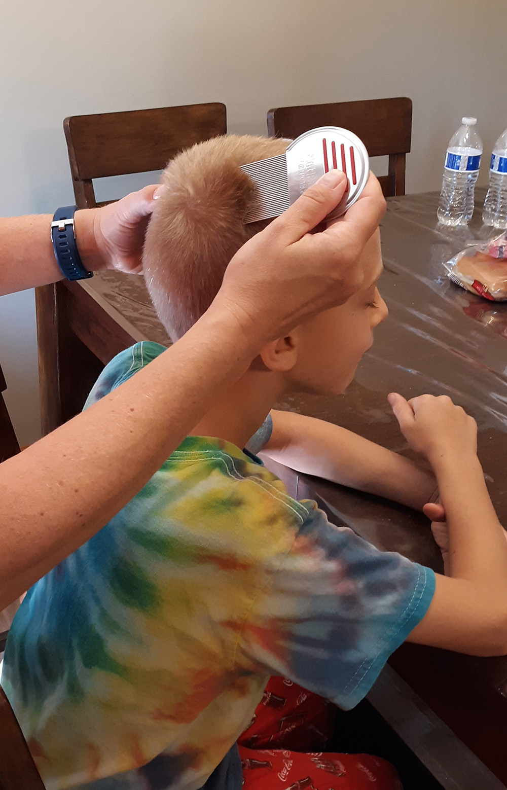 Head Lice Treatment Removal Service in Chattanooga, Tennessee